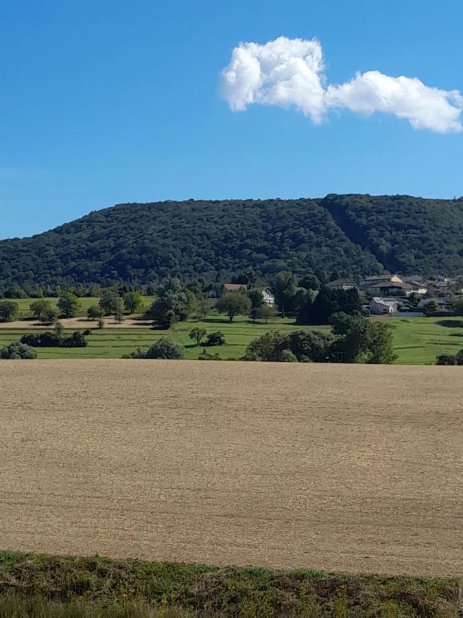 Au Moulin Du Pont Hotel Samognat ภายนอก รูปภาพ